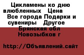 Цикламены ко дню влюбленных › Цена ­ 180 - Все города Подарки и сувениры » Другое   . Брянская обл.,Новозыбков г.